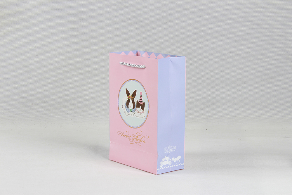 時尚卡通禮品銅版紙袋定制 時尚卡通禮品銅版紙袋定制