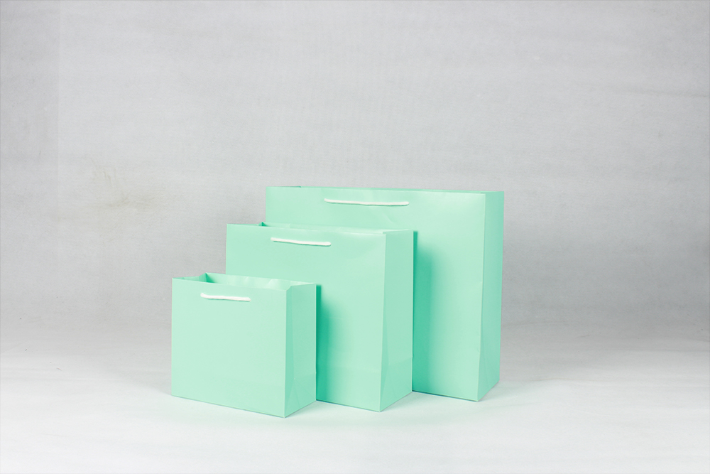 時(shí)尚橫版白卡淺綠禮品紙袋 時(shí)尚橫版白卡淺綠禮品紙袋
