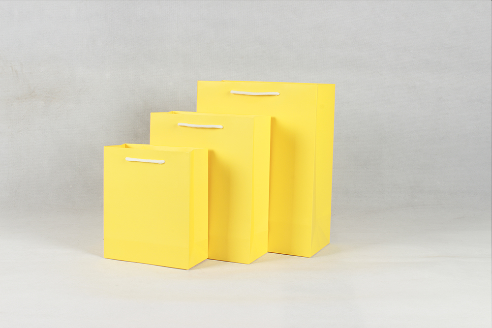 時(shí)尚橫版白卡黃色禮品紙袋 時(shí)尚橫版白卡黃色禮品紙袋